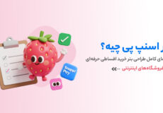 بنر اسنپ پی چیست؟